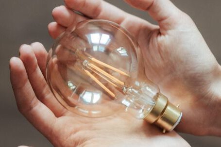 Efficiency, Profitability. - Unrecognizable woman demonstrating light bulb in hands